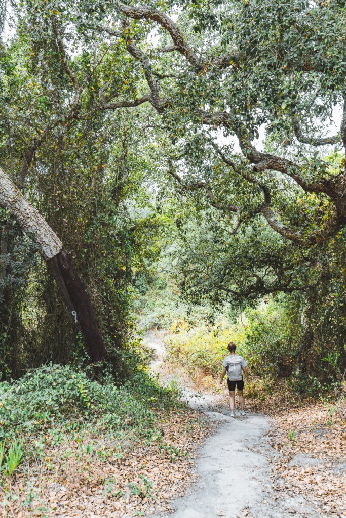 Portugal, Towns & trails