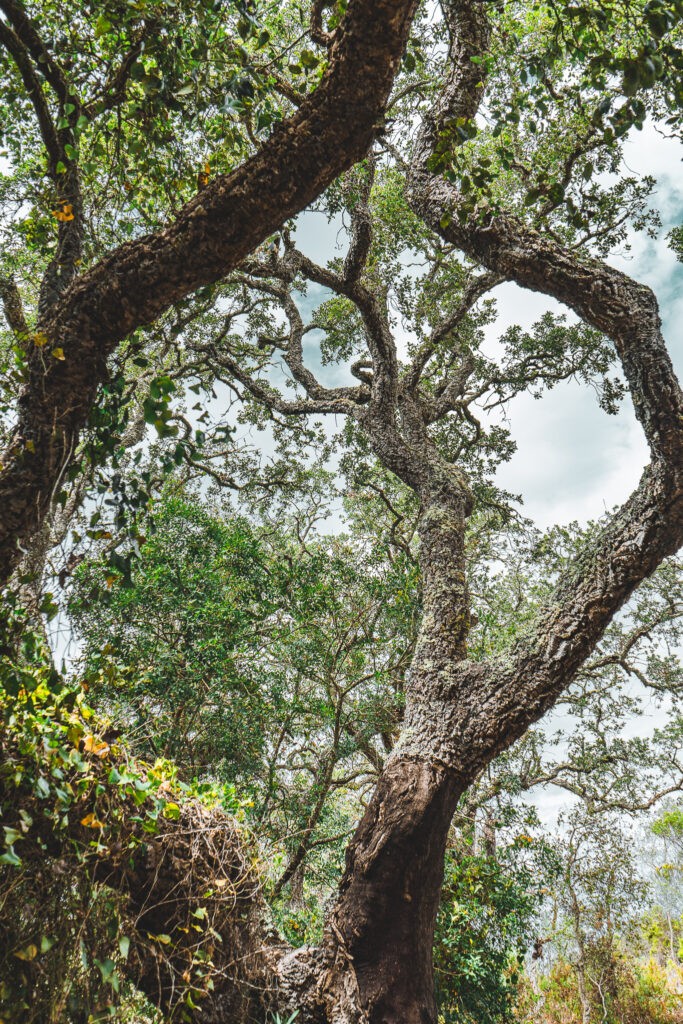 Portugal, Towns & trails