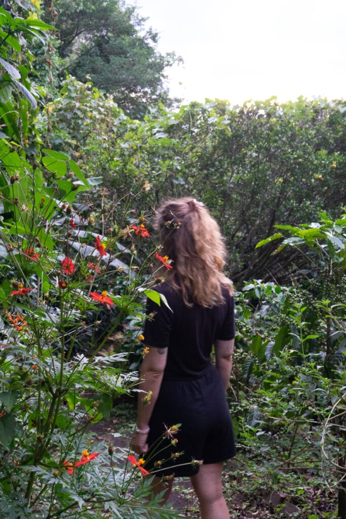 Costa Rica, Monteverde