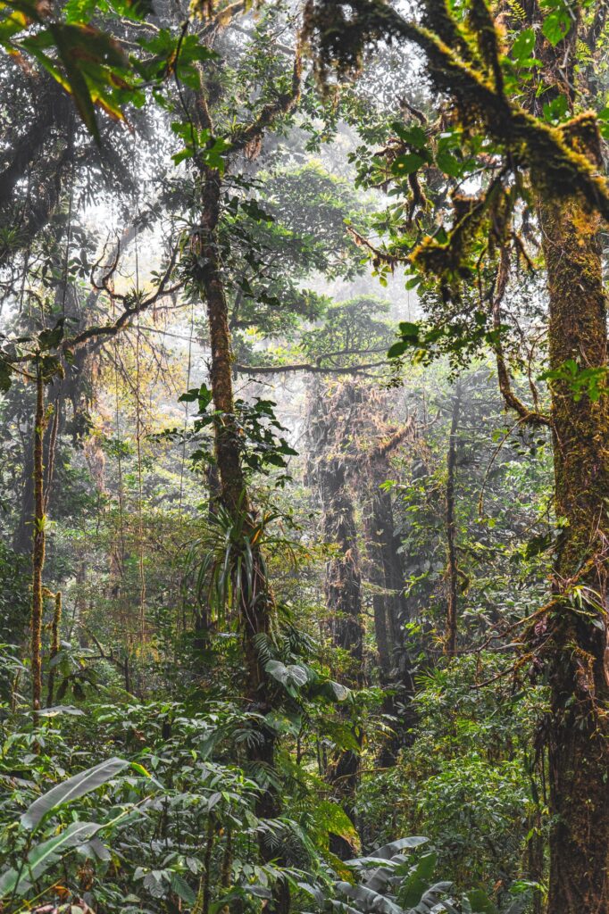 Costa Rica, Monteverde