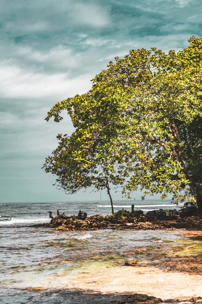 Costa Rica, Puerto Viejo