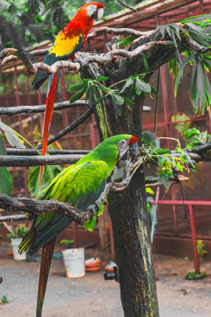 Costa Rica, Puerto Viejo