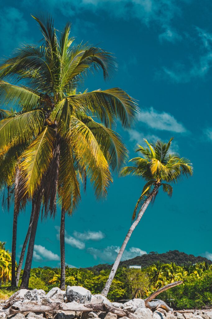 Costa Rica, Sámara